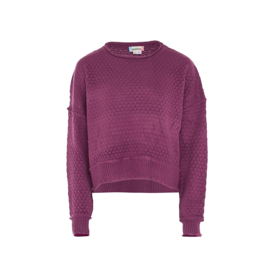 ebeeza ebeeza Trui bessen -