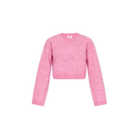 MYMO Trui Young Fashion pitaja roze