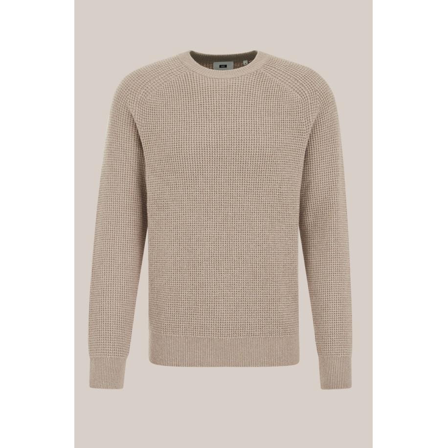 WE Fashion Heren regular fit trui met structuur - Regular fit - Beige - Maat: S Bruin