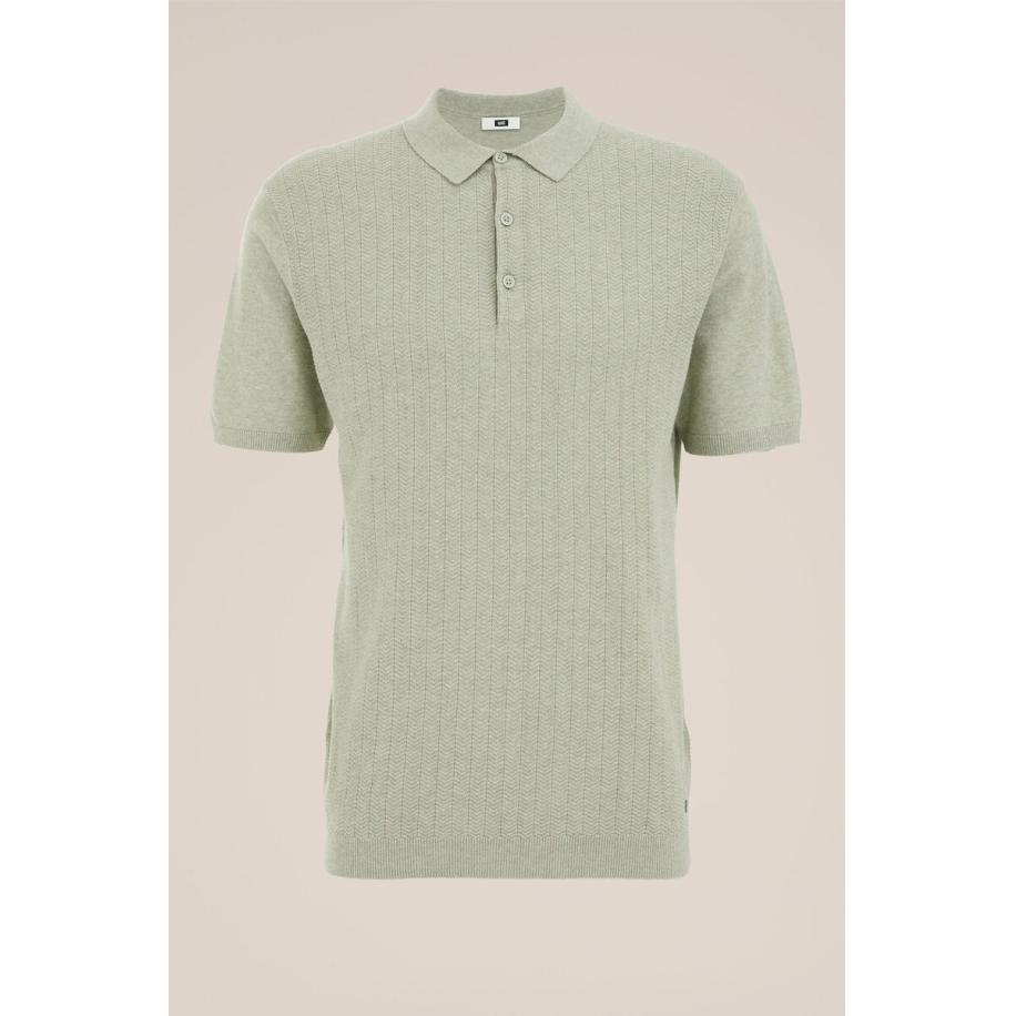 WE Fashion Heren Regular fit fijngebreide polo met structuur - Regular fit - Lichtgroen - Katoen - Maat: XS Groen