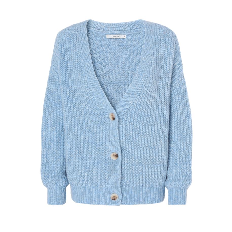 TATUUM TATUUM Trui Adison blauw -