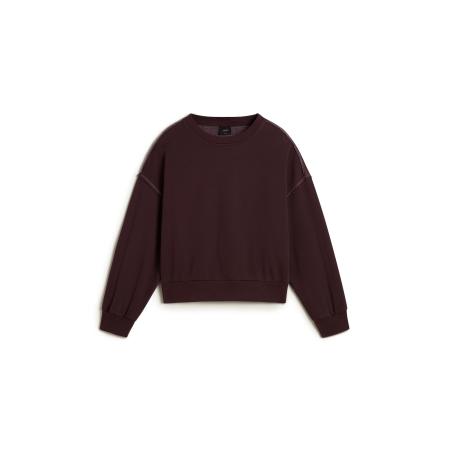 VANS Sweatshirt Got Your Back bourgogne