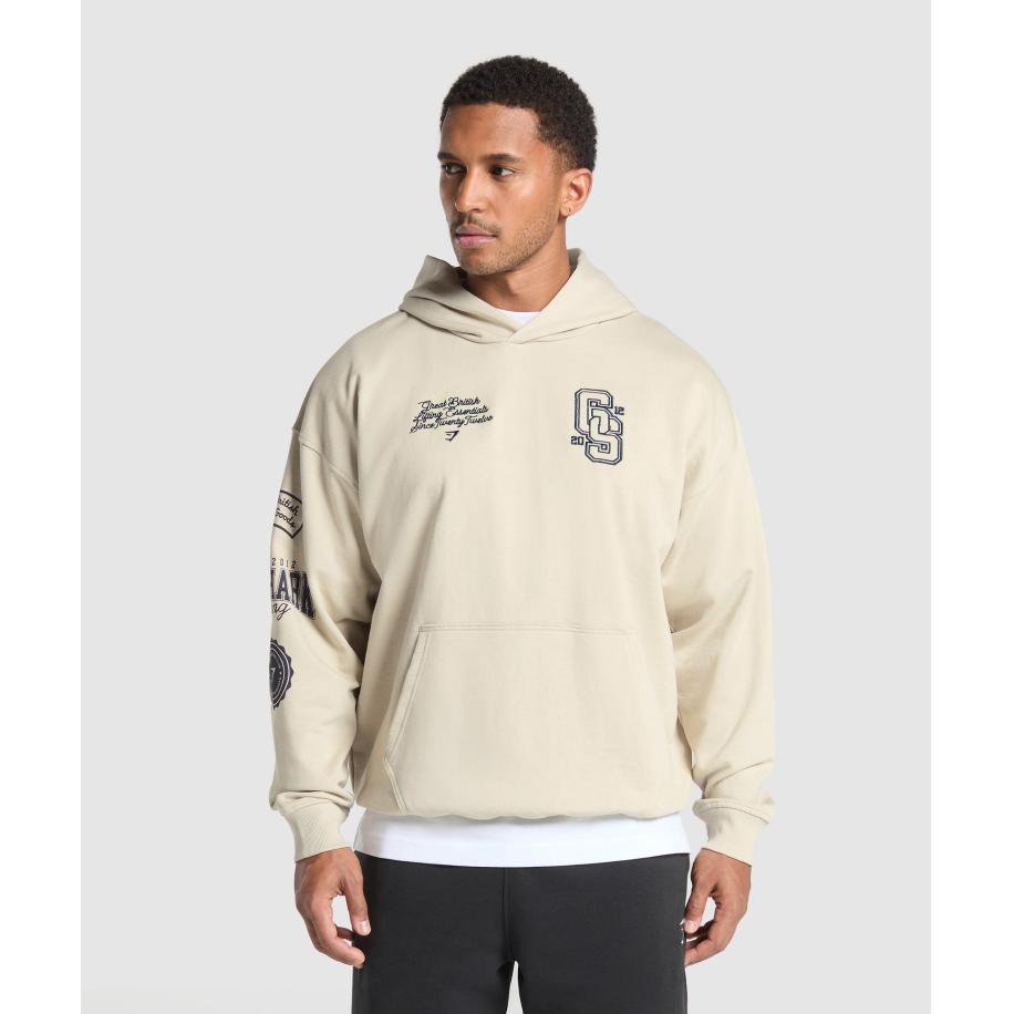 Gymshark Lifting Essentials Hoodie Pebble Grey Grijs