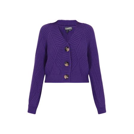 DreiMaster DreiMaster Vintage Gebreid vest donkerlila