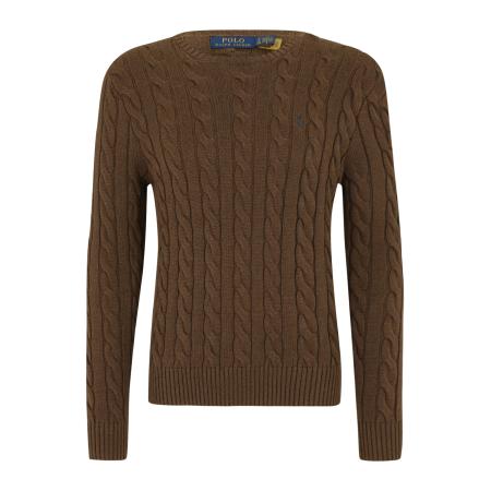 Polo Ralph Lauren Trui Driver bruin