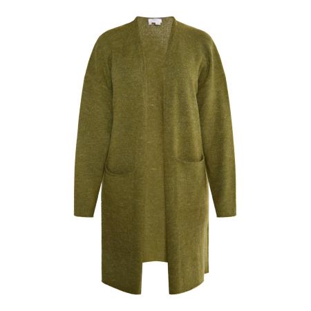 Usha usha FESTIVAL Gebreid vest Carnea olijfgroen