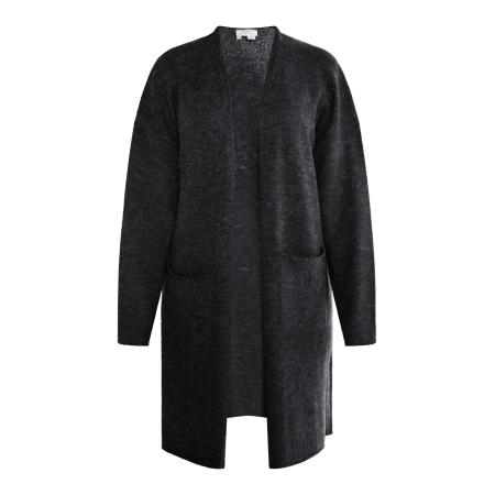 Usha usha FESTIVAL Gebreid vest Carnea zwart