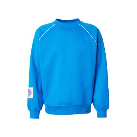 Denim Project Denim Project Sweatshirt JAMES blauw