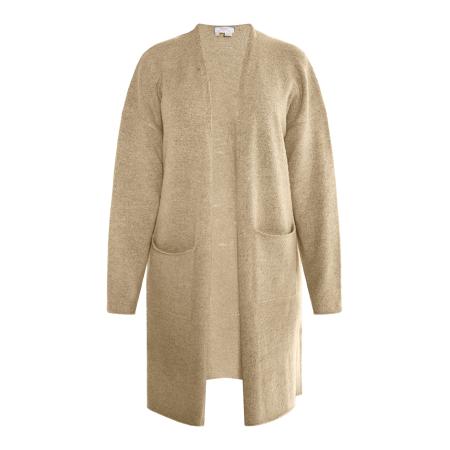 Usha usha FESTIVAL Gebreid vest Carnea beige