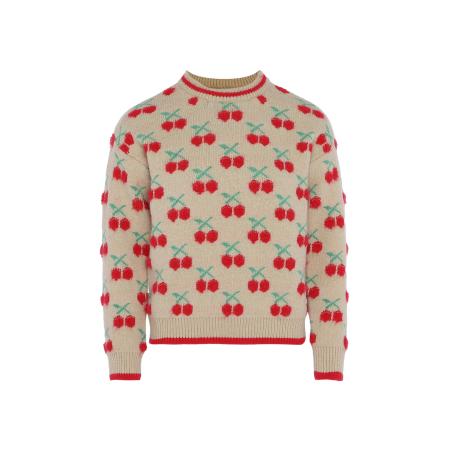 MYMO MYMO Trui donkerbeige / lichtgroen / rood