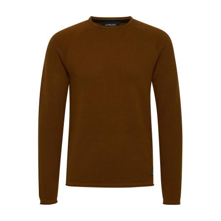 11 Project 11 Project Trui Dacio bruin