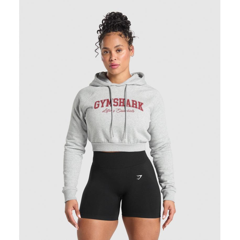 Gymshark Lifting Essentials Graphic Cropped Hoodie Light Grey Core Marl Grijs