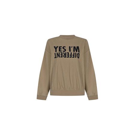 FRESHLIONS FRESHLIONS Sweatshirt Amalia bruin