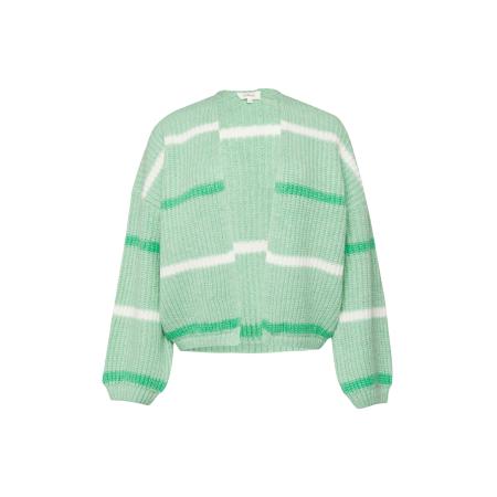 s.Oliver s.Oliver Gebreid vest grasgroen / lichtgroen / wit