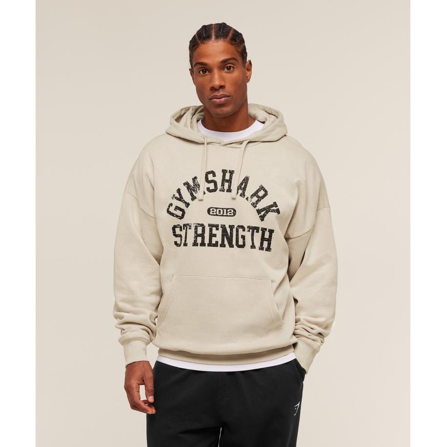 Gymshark 2012 Strength Hoodie Pebble Grey Grijs