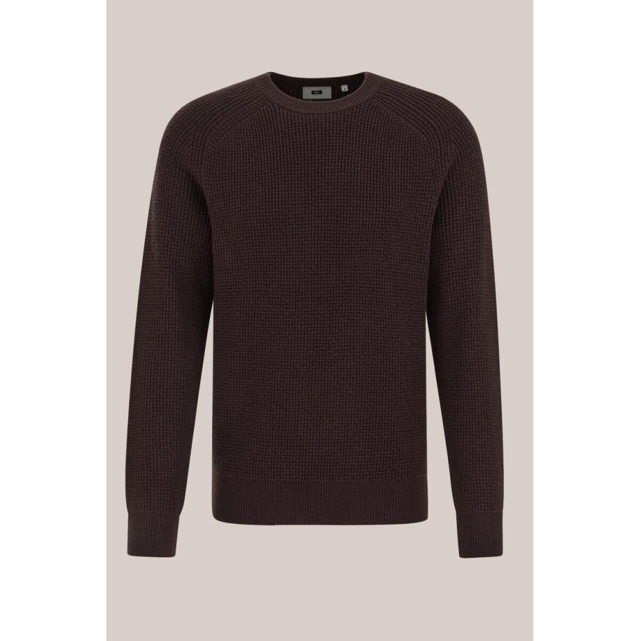 WE Fashion Heren regular fit trui met structuur - Regular fit - Donkerbruin - Maat: S Bruin