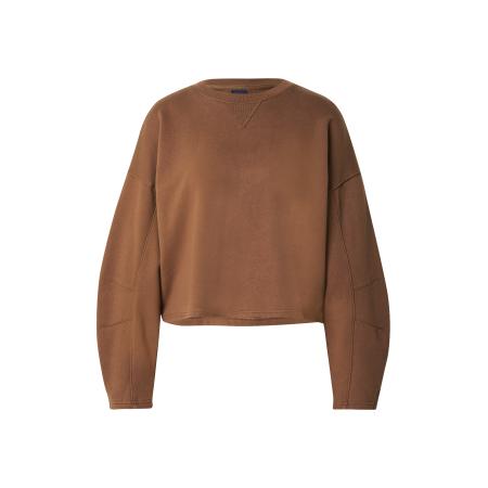 GAP GAP Sweatshirt bruin