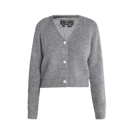 Faina faina Gebreid vest grijs