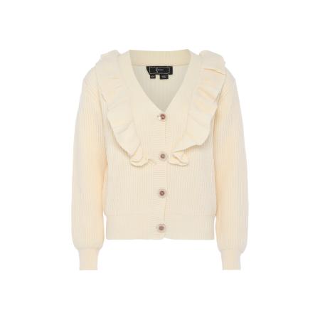 Faina faina Gebreid vest wolwit