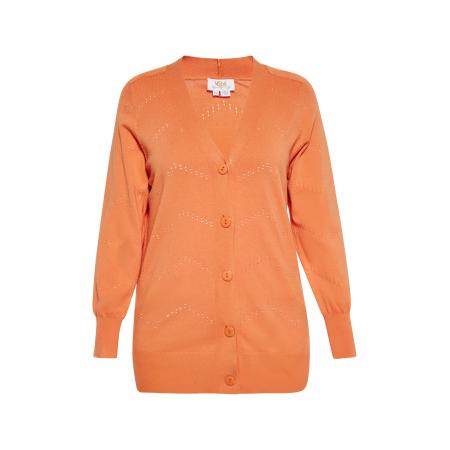 Usha usha FESTIVAL Gebreid vest perzik