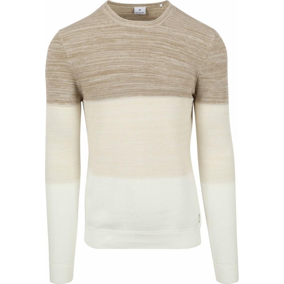 Blue Industry Pullover Strepen Beige Bruin
