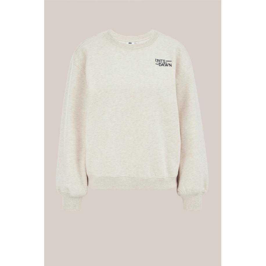 WE Fashion Dames sweater met embroideries - Regular fit - Beige - Katoen - Maat: XXXL Bruin
