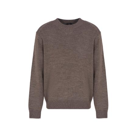 ARMANI EXCHANGE Trui bruin