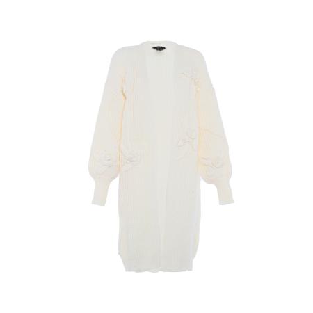 Faina faina Gebreid vest wolwit