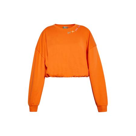 ebeeza ebeeza Sweatshirt geel / groen / oranje / pink