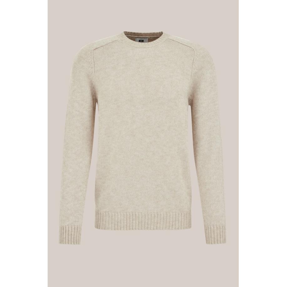 WE Fashion Heren regular fit trui van wolmix - Regular fit - Beige - Maat: XS Bruin