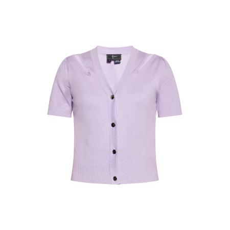 Faina faina Gebreid vest lavendel