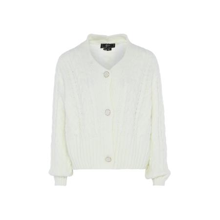 Faina faina Gebreid vest wolwit