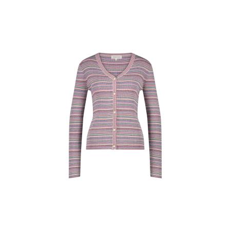 Fabienne Chapot Fabienne Chapot Gebreid vest blauw / groen / oranje / pink