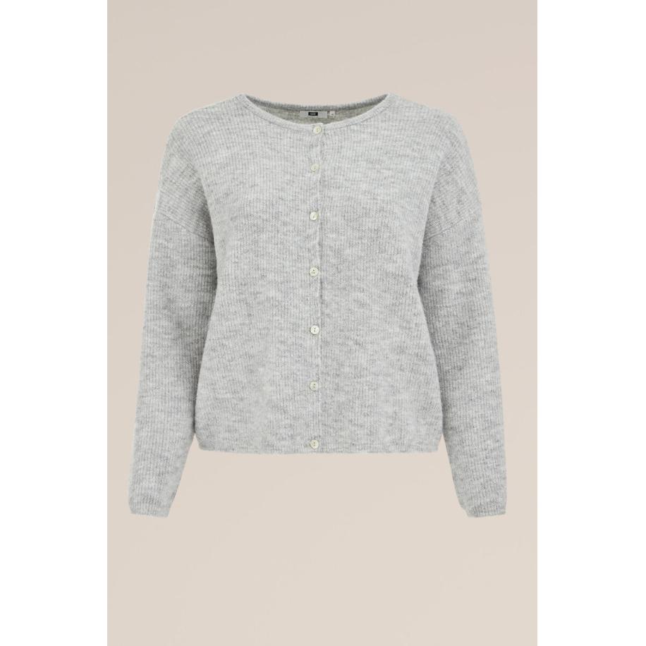 WE Fashion Dames gebreid vest met structuur - Curve - Regular fit - Lichtgrijs - Plus Size Maat: 46 Grijs