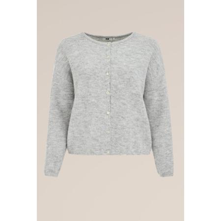 WE Fashion Dames gebreid vest met structuur - Curve - Regular fit - Lichtgrijs - Plus Size Maat: 50