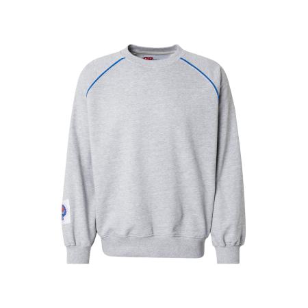 Denim Project Denim Project Sweatshirt JAMES blauw / grijs