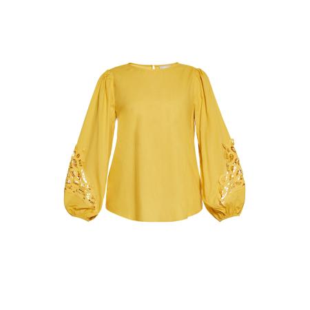 Usha Usha Blouse curry