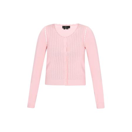 Faina faina Gebreid vest pink