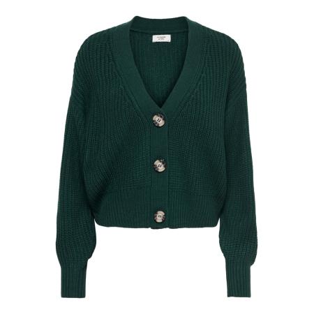 JDY JDY Gebreid vest JDYJUSTY beige / donkergroen / zwart