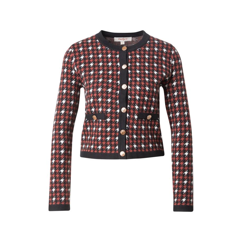Derhy Derhy Gebreid vest BARNABE roestbruin / zwart / wit -