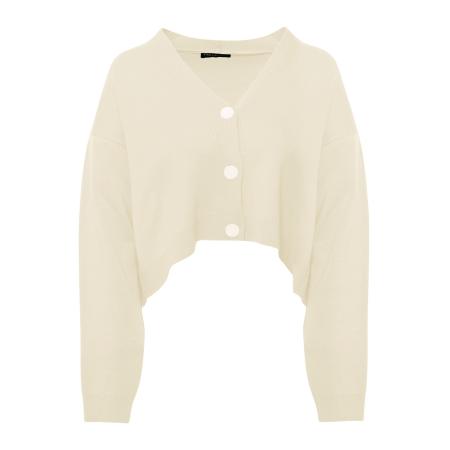 FRESHLIONS FRESHLIONS Gebreid vest Aylen offwhite