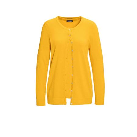 Goldner Goldner Gebreid vest honing