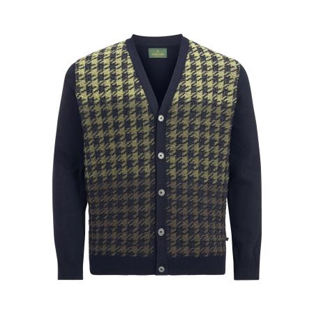 Charles Colby Vest groen, Motief