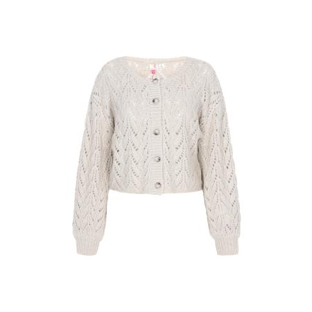 IZIA IZIA Gebreid vest lichtgrijs