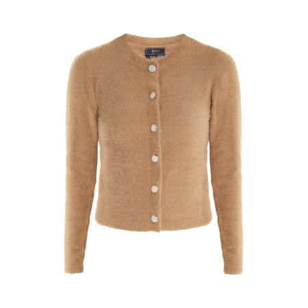 Faina faina Gebreid vest Tassia camel