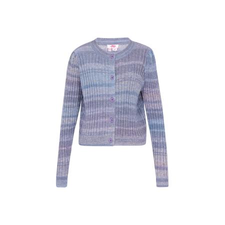 MYMO MYMO Gebreid vest blauw / lila