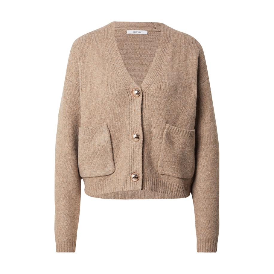 ABOUT YOU ABOUT YOU Gebreid vest Thea beige -