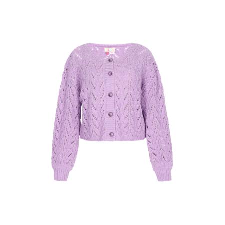 IZIA IZIA Gebreid vest lichtlila