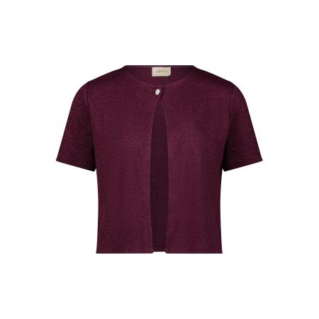 Cartoon Cartoon Gebreid vest bordeaux