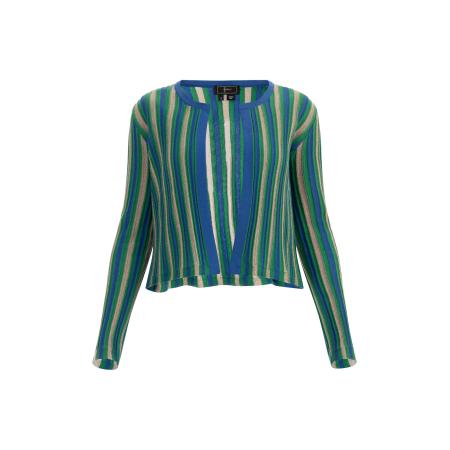 Faina faina Gebreid vest beige / blauw / grasgroen